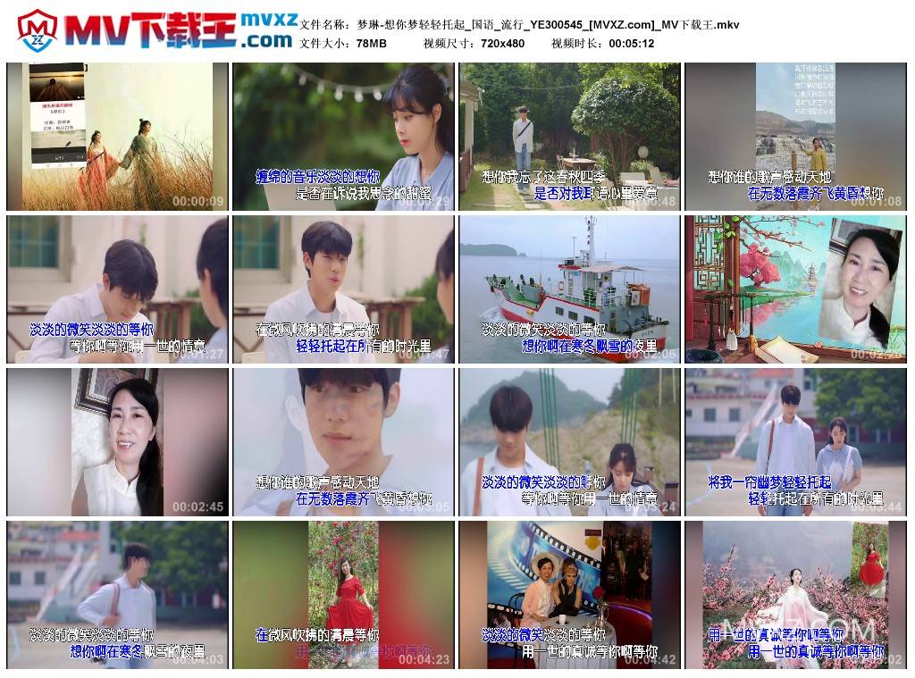 梦琳-想你梦轻轻托起_国语_流行_YE300545